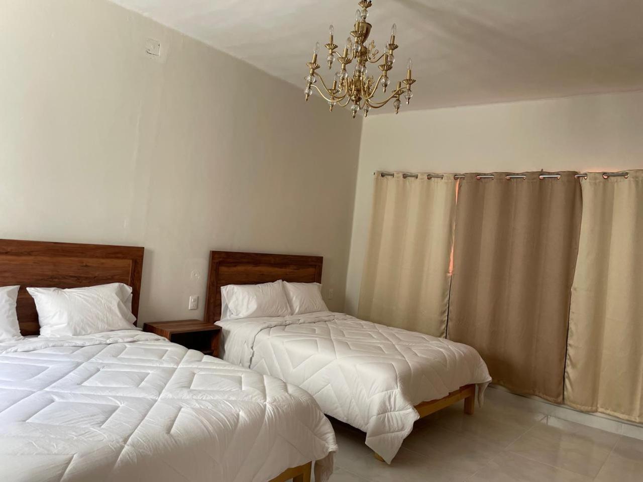 Hotel Posada Boutique Aguascalientes Eksteriør billede